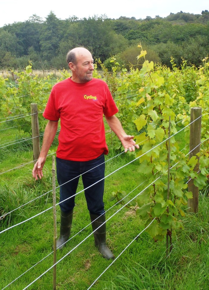 Colin Fielder in his vineyard.